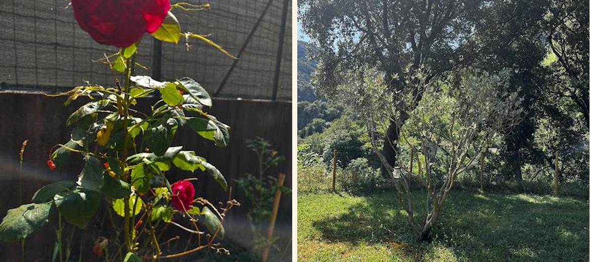 Auberge des gorges de la Vis Restaurant Café Epicerie dépannage - Gallery Image 1